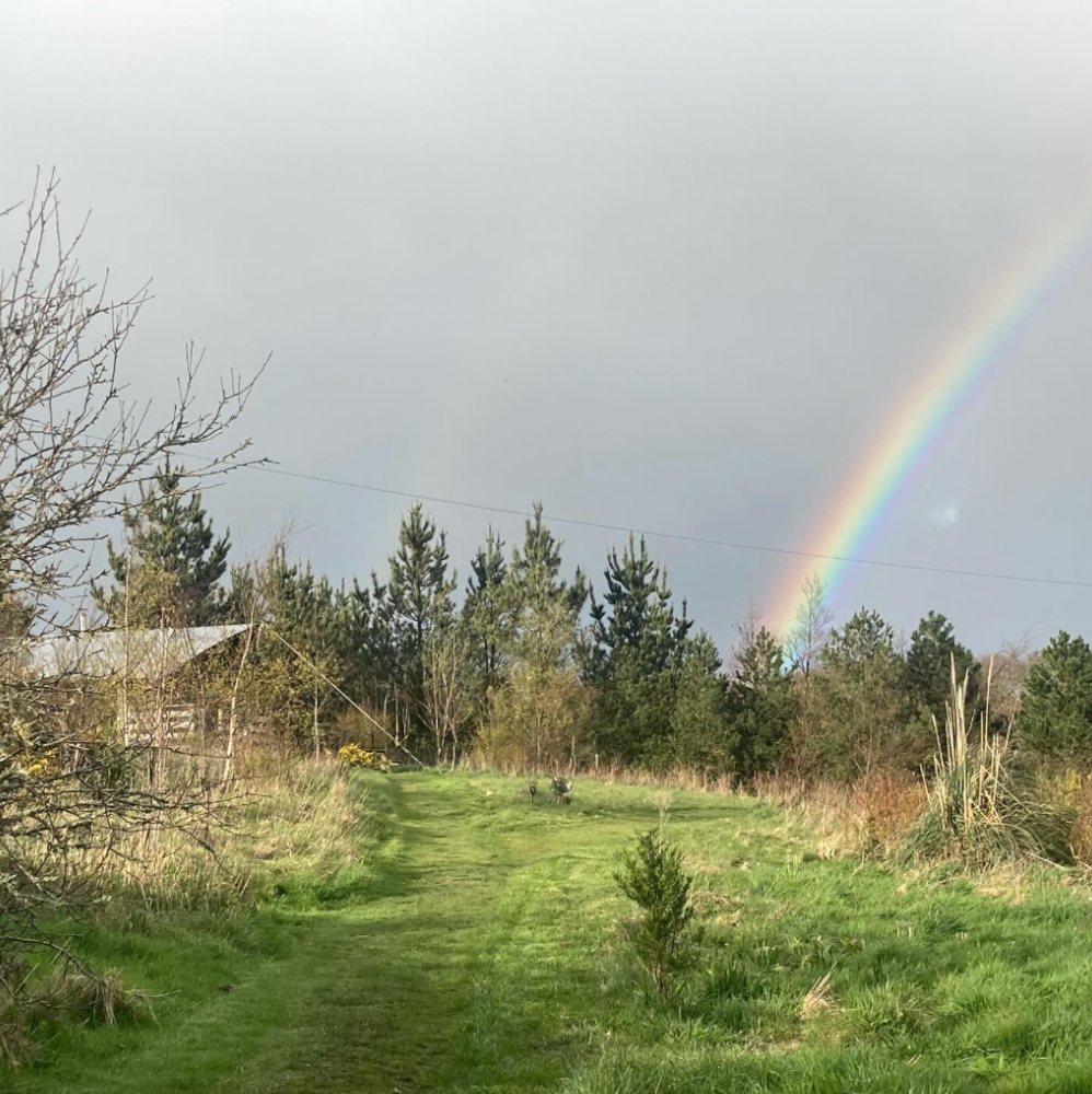 Rainbow at Wrinklers Wood